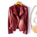 Valeria Vegan Leather Jacket in Crimson Red hanging on display